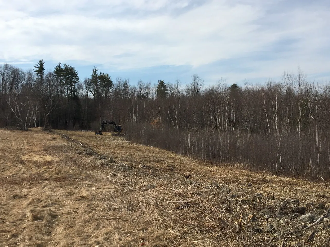 Forestry mulcher clearing brush and overgrowth