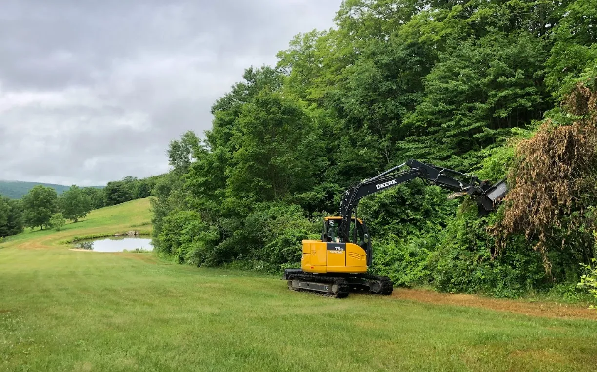 Cleared land after forestry mowing work